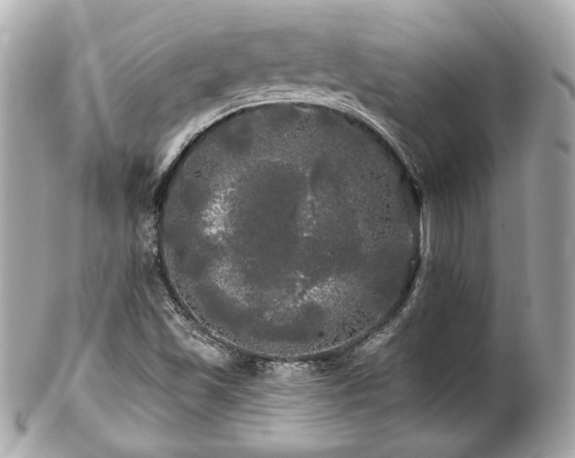 X0000102491501200808151443
