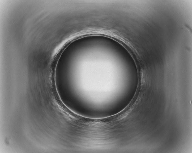 X0000102491502200808151443