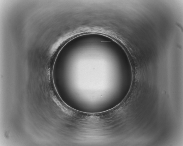 X0000102491503200808151443