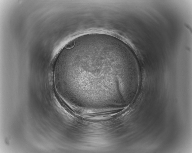 X0000102491504200808151443