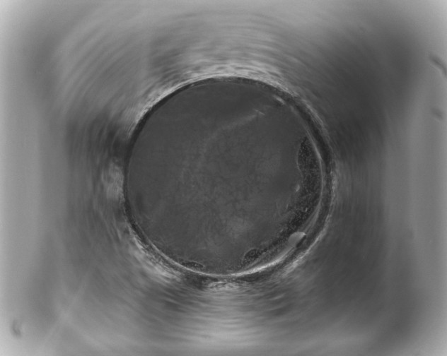 X0000102491505200808151443