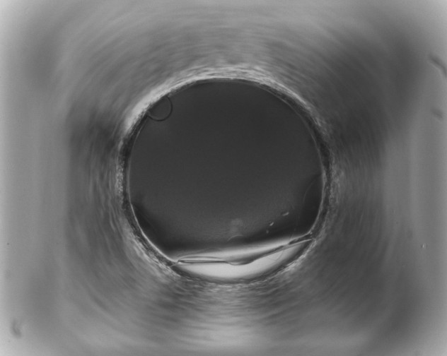 X0000102491506200808151443