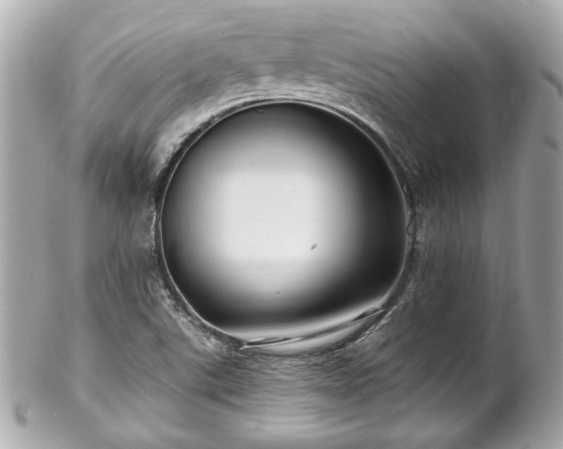 X0000102491507200808151443