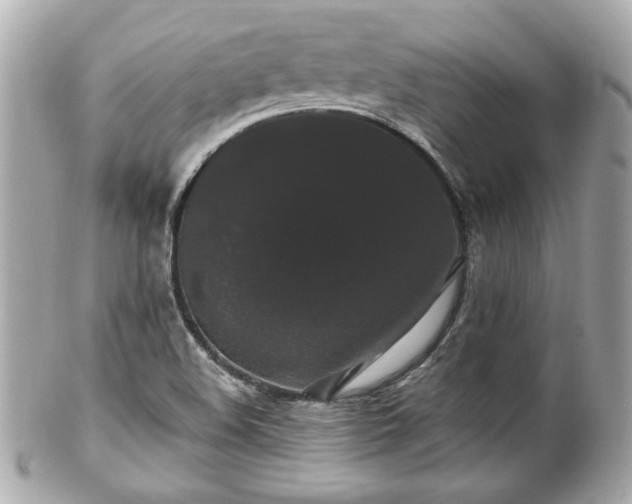 X0000102491508200808151443