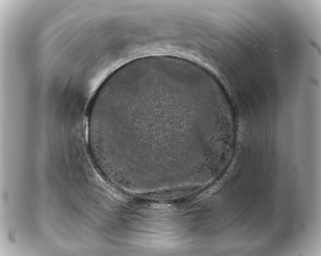X0000102491509200808151443