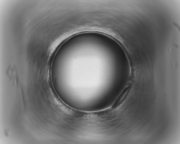 X0000102491511200808151443