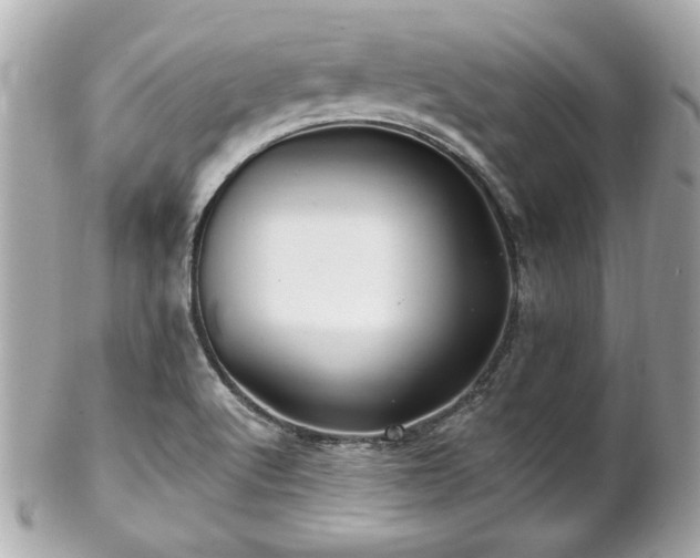 X0000102491512200808151443