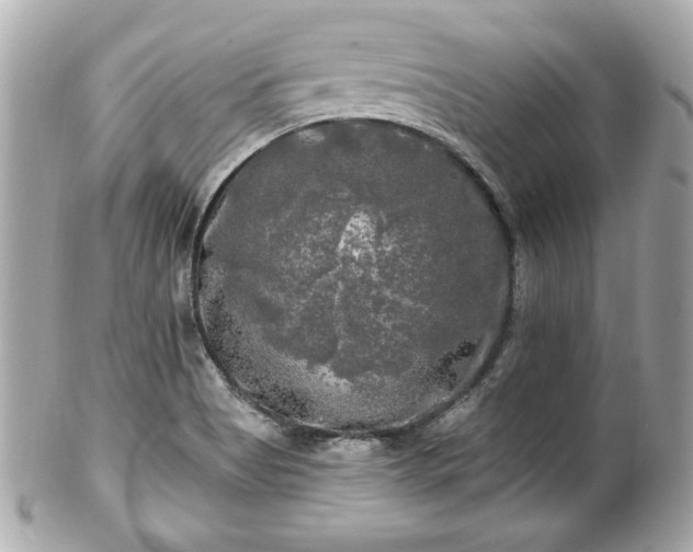 X0000102491513200808151443