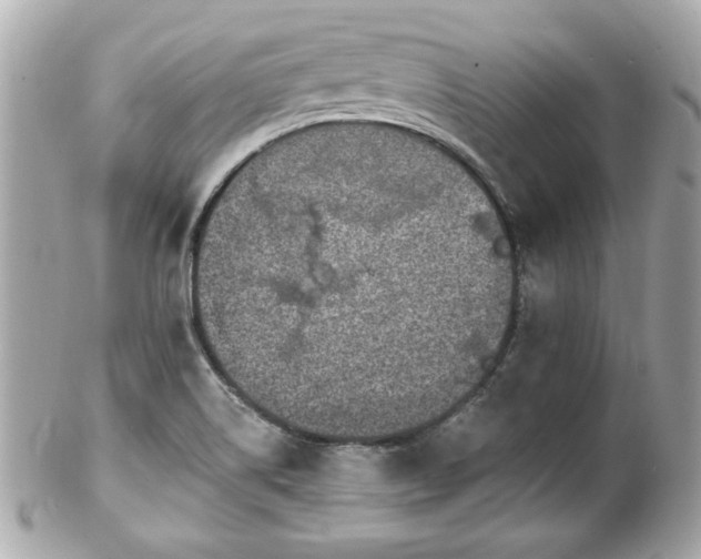 X0000102491514200808151443