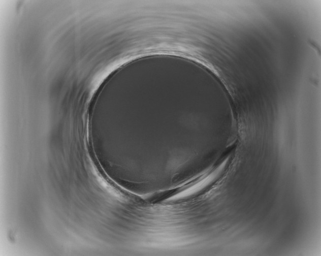 X0000102491515200808151443