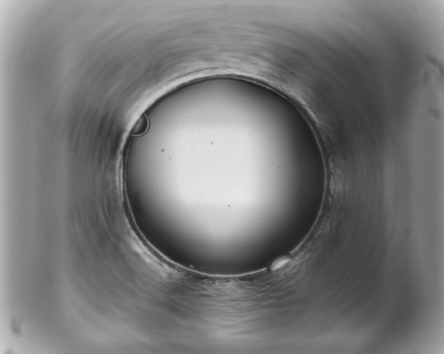 X0000102491516200808151443