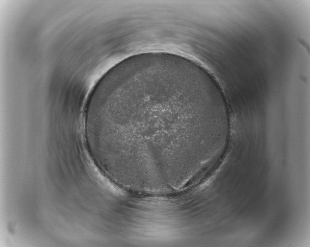 X0000102491517200808151443