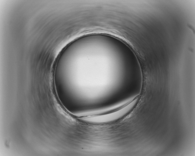 X0000102491518200808151443