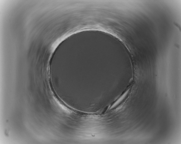 X0000102491519200808151443