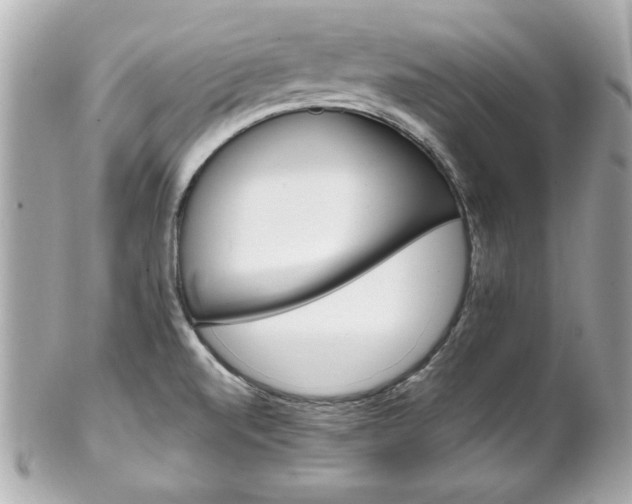 X0000102491520200808151443