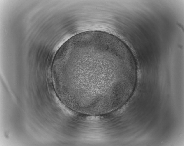 X0000102491521200808151443