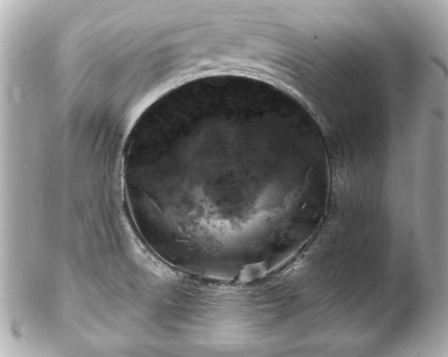 X0000102491522200808151444