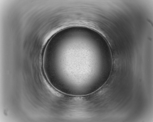X0000102491523200808151444