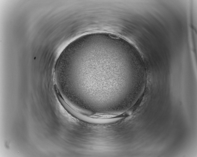 X0000102491524200808151444