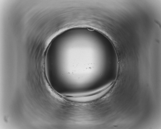 X0000102491526200808151444