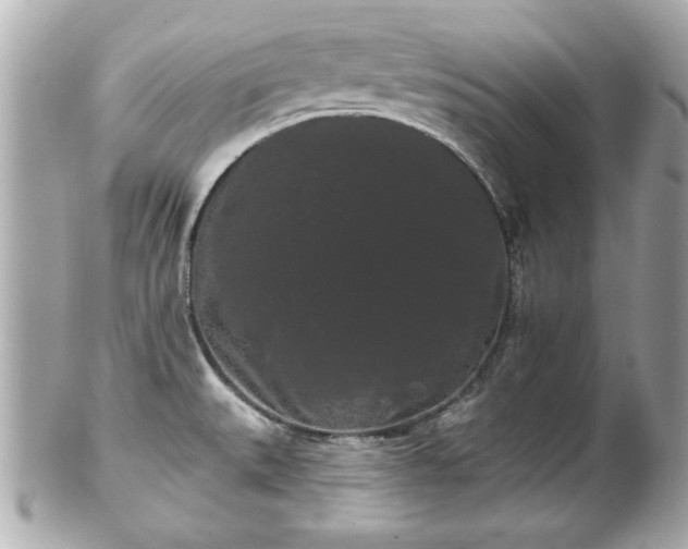 X0000102491527200808151444