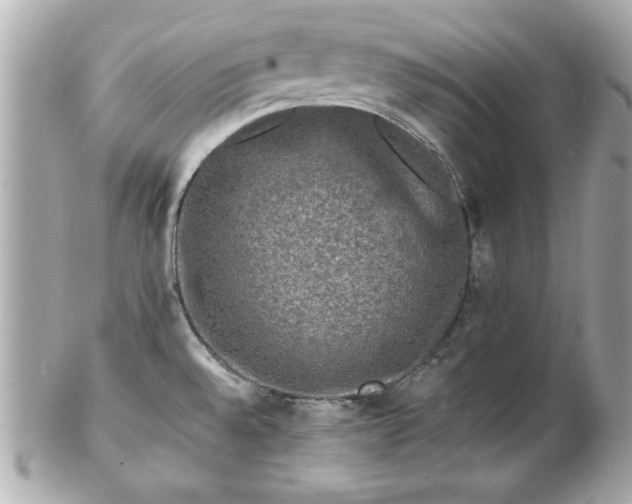 X0000102491528200808151444