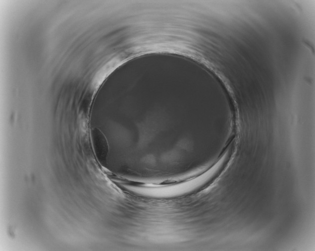 X0000102491529200808151444