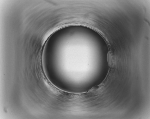 X0000102491530200808151444