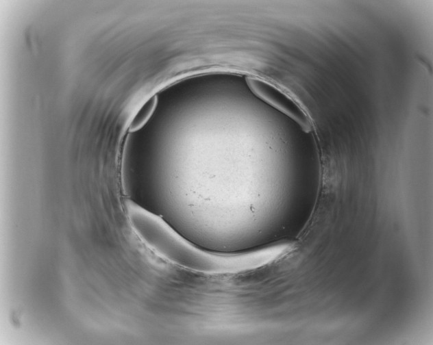 X0000102491532200808151444