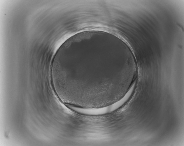 X0000102491533200808151444