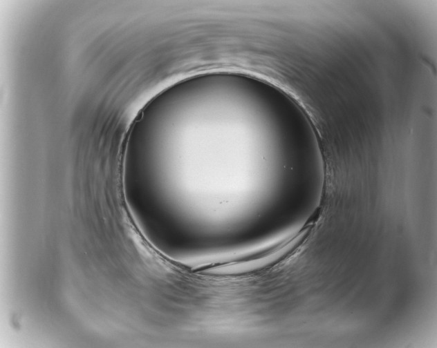X0000102491534200808151444