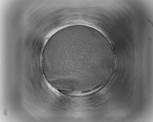 X0000102491535200808151444