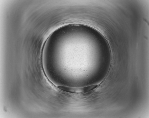 X0000102491536200808151444