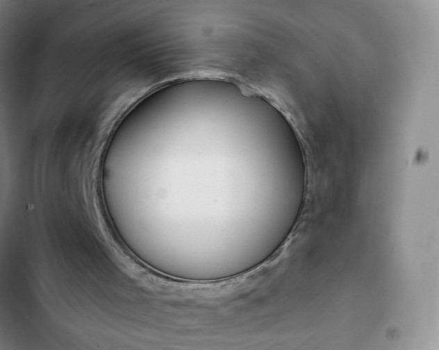 X0000102490001200808221741