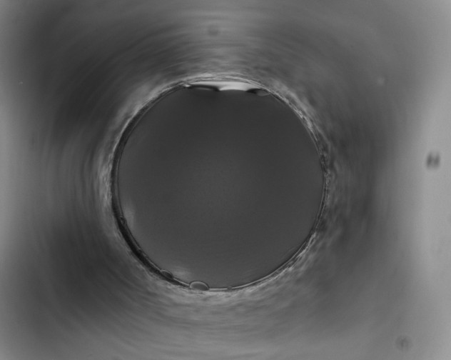 X0000102490002200808221741