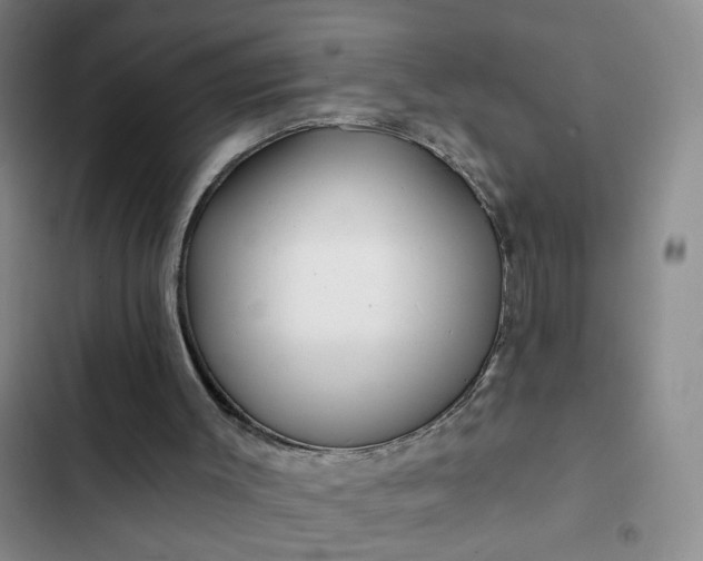 X0000102490003200808221741