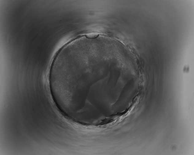 X0000102490004200808221741