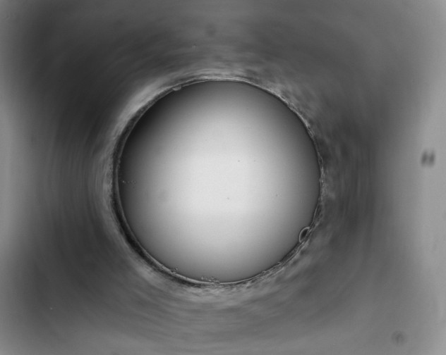 X0000102490005200808221741