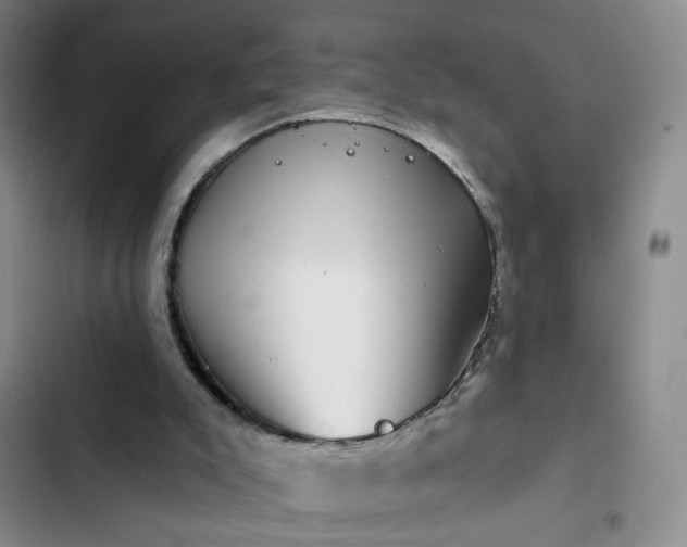 X0000102490007200808221741