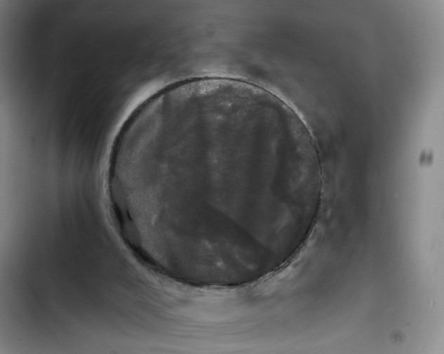 X0000102490008200808221741