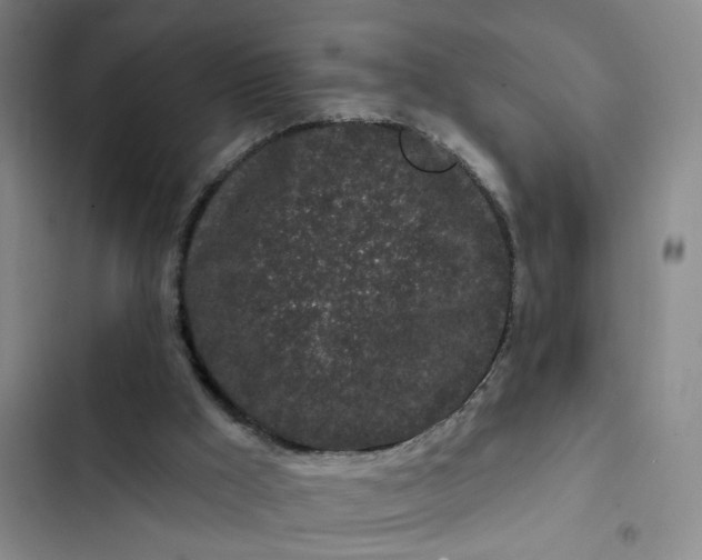 X0000102490009200808221741