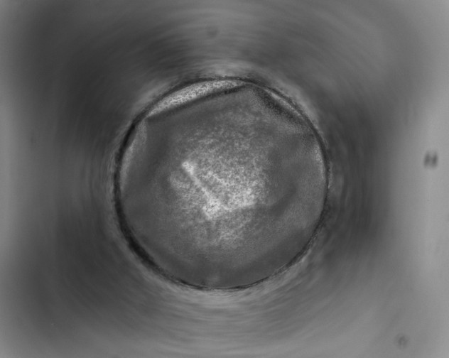 X0000102490010200808221741