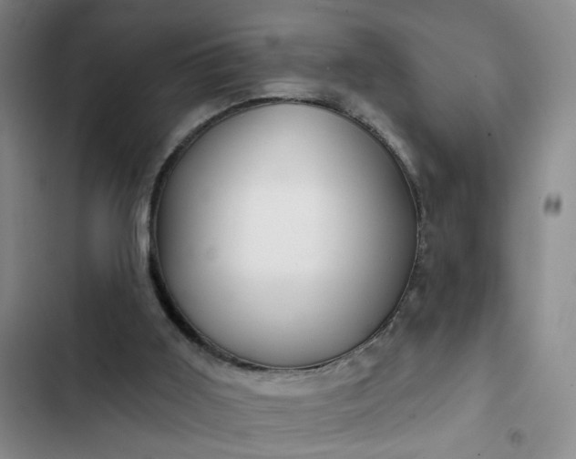 X0000102490011200808221741