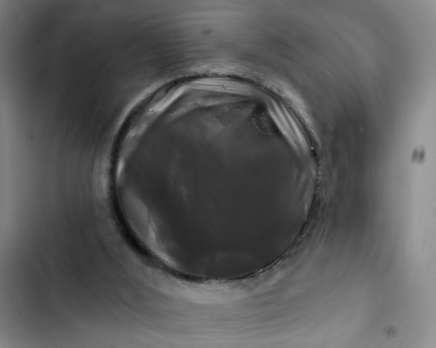 X0000102490012200808221741