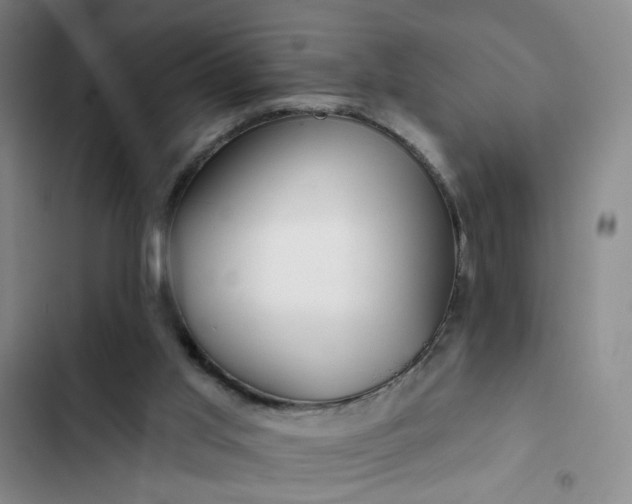 X0000102490013200808221741