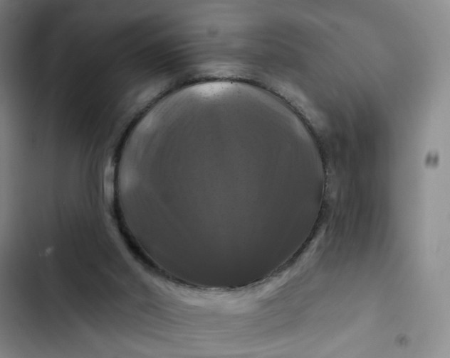 X0000102490014200808221741