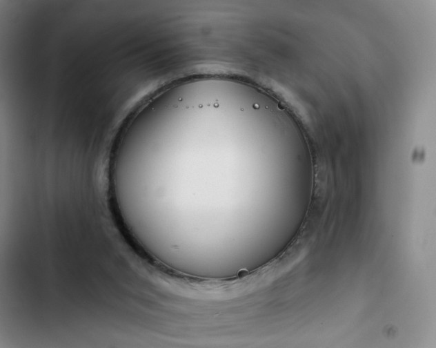 X0000102490015200808221741