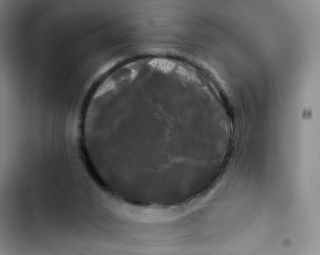 X0000102490016200808221741