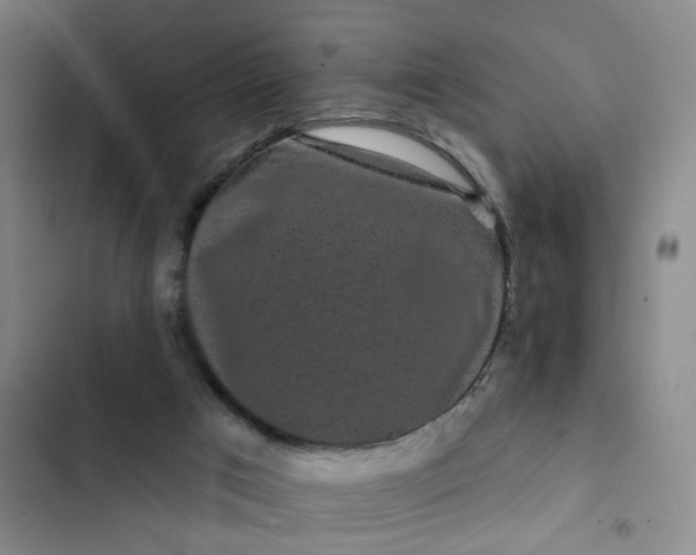 X0000102490017200808221741