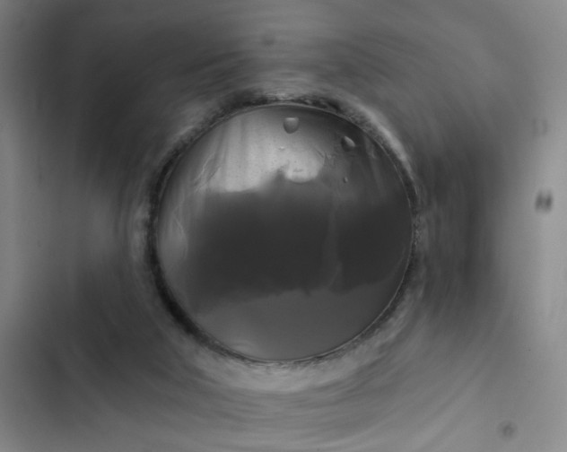 X0000102490018200808221741